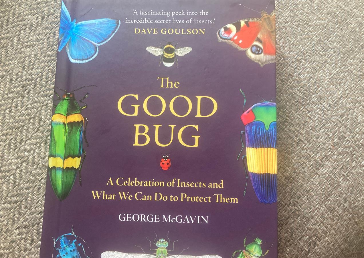 The Good Bug